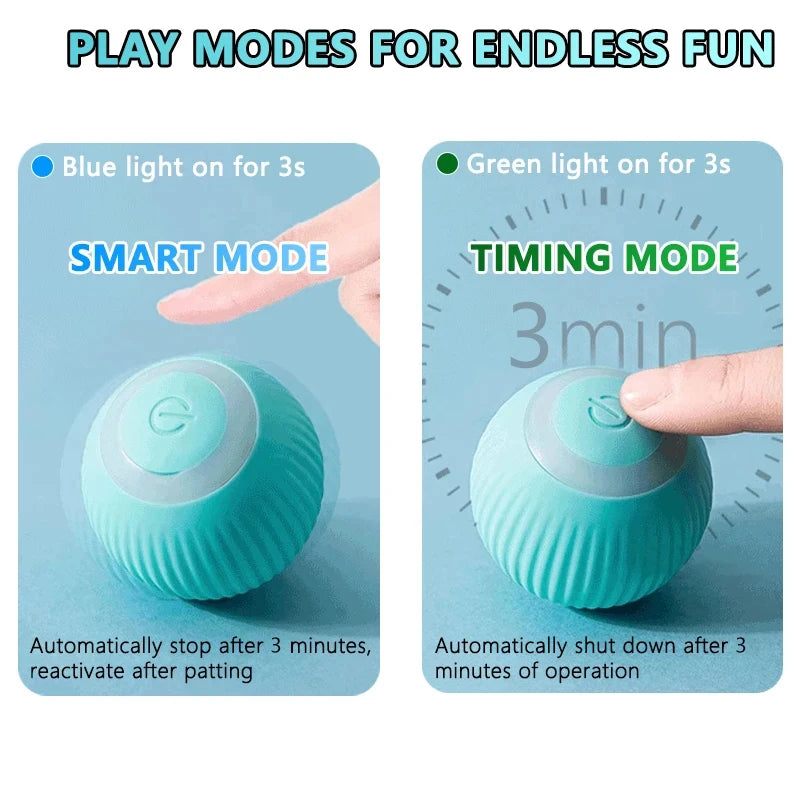 Transform Your Cat’s Boredom into Joyful Playtime
