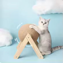SpinScratch Post